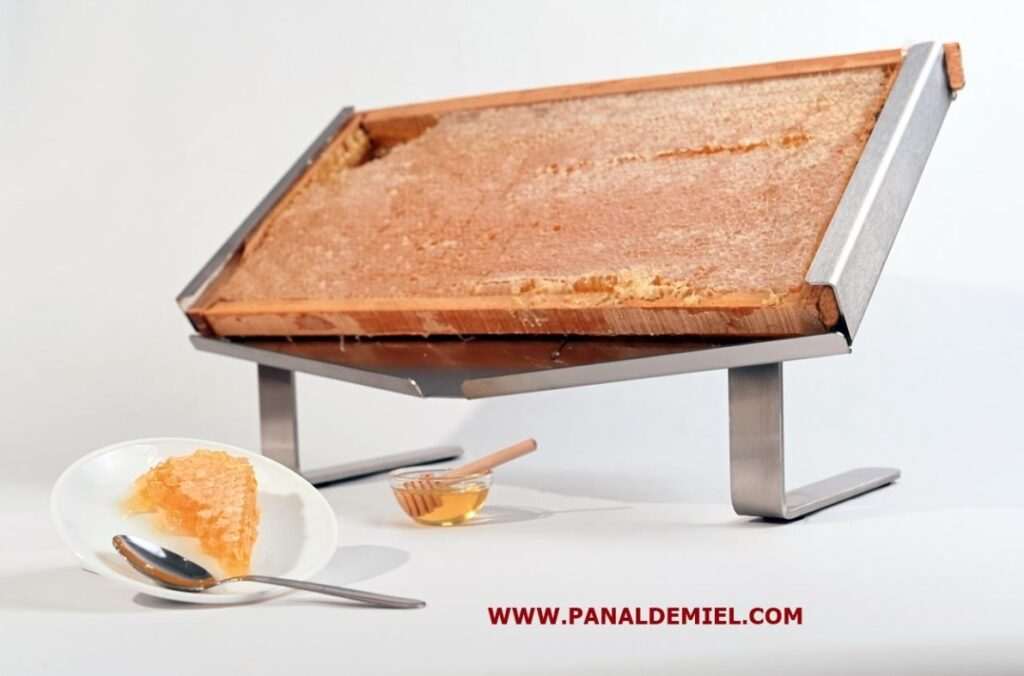 Panal de Miel de Acacia Grande 26x48 cm – Pura y Natural