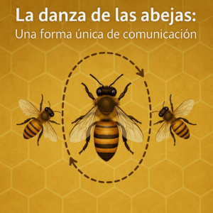 La danza de las abejas: comunicación vital en el panal